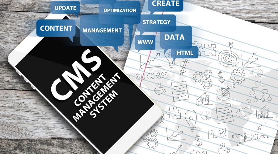 content management system micro saas idea