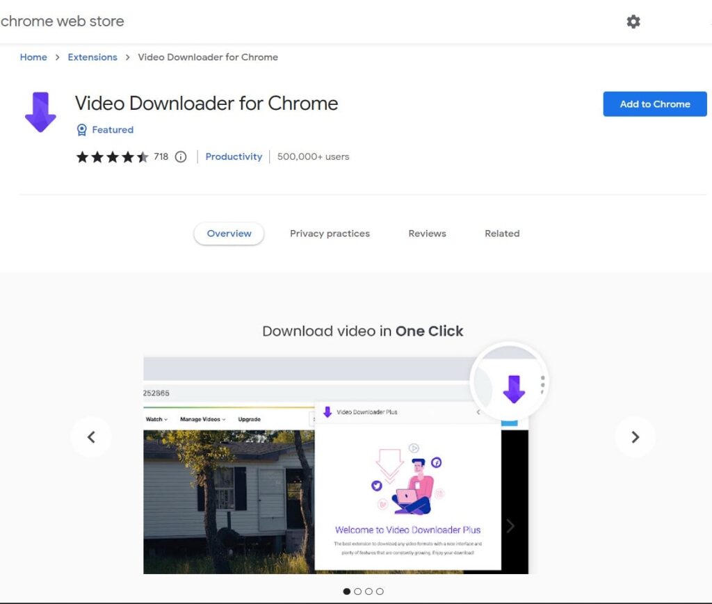 Video downloader for chrome
