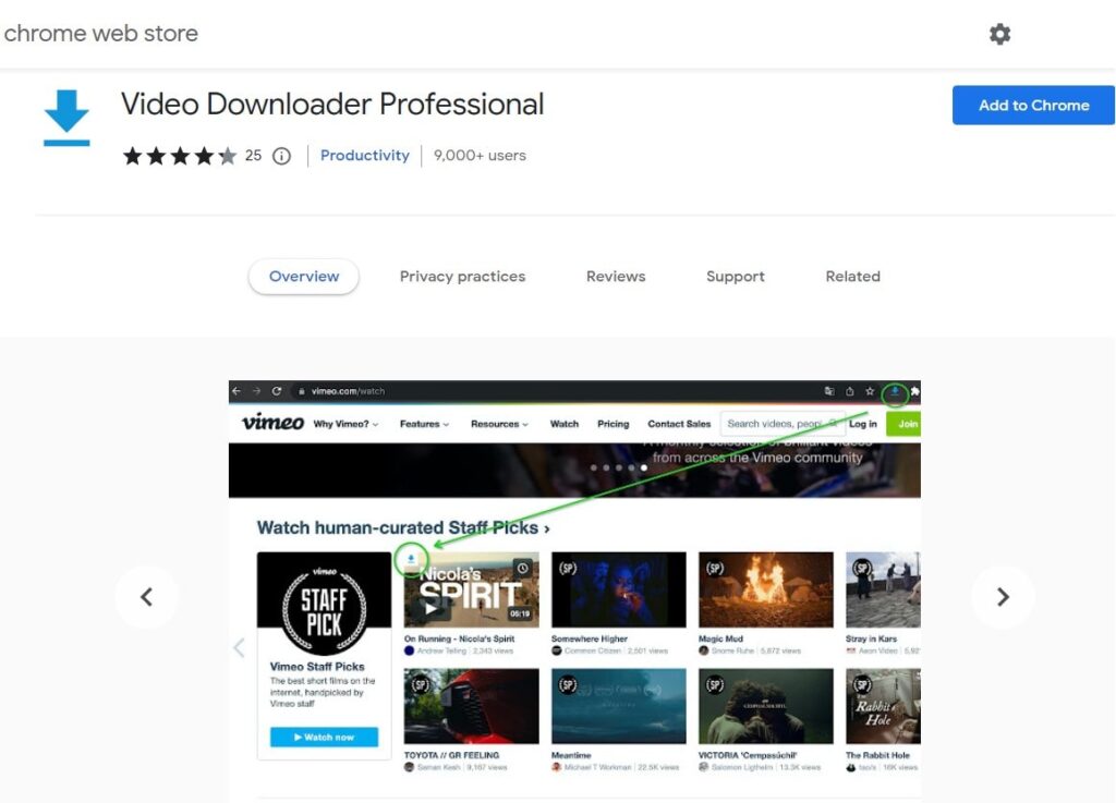 Video downloader professional
